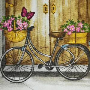 Serie BICICLETTE